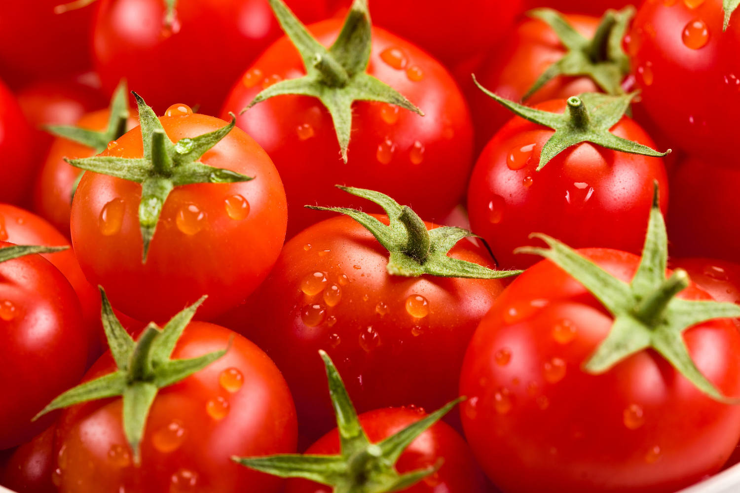 Tomaten schijf 5mm intense tomaat 1kg 3